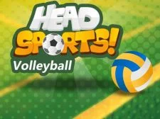 Head Sports Volleyball